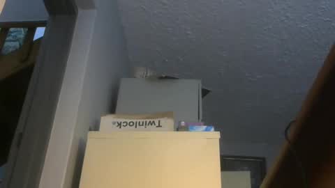 Snapshot of chaturbatordeluxe chatting on 11/17/25, 03:34 chaturbatordeluxe online show from 11/17/25, 03:34