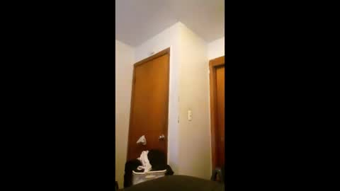 cheeze111 online show from 06/07/26, 04:16