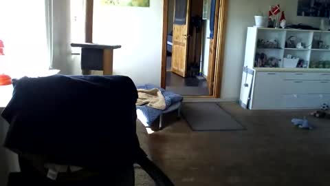 chefben666 online show from 04/12/26, 09:25