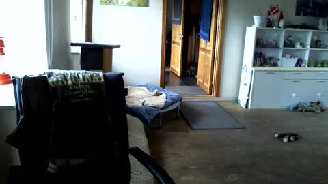 chefben666 online show from 04/15/26, 11:17