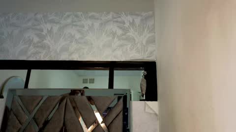   online show from 04/15/26, 02:40