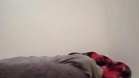 ChemicalX  online show from 02/04/26, 11:31