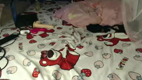 Cherry online show from 04/17/26, 04:54