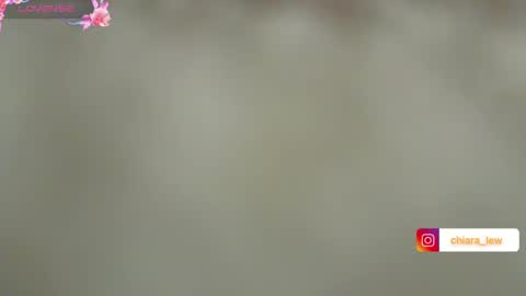 Chiara Lovense is active Pvt open online show from 12/12/24, 05:48