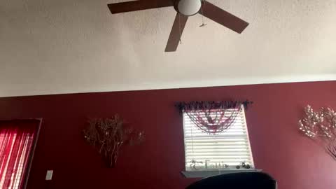 CHINO online show from 02/17/26, 07:09