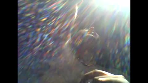 CHINO online show from 04/11/26, 02:21