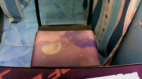 chixx_nina online show from 07/28/26, 04:16