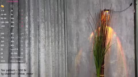 Snapshot of chloe_moor chatting on 12/10/24, 09:00 Chloe online show from 12/10/24, 09:00