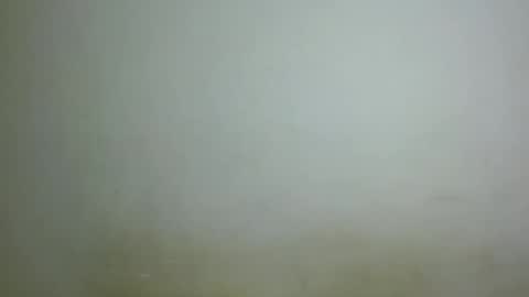 chocolatebony_ online show from 01/22/25, 10:05