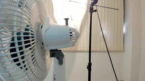 Chris Evans online show from 02/02/26, 01:10