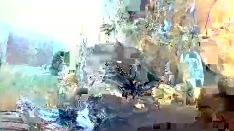 Snapshot of christopher1087 chatting on 02/03/26, 01:15 christopher1087 online show from 02/03/26, 01:15