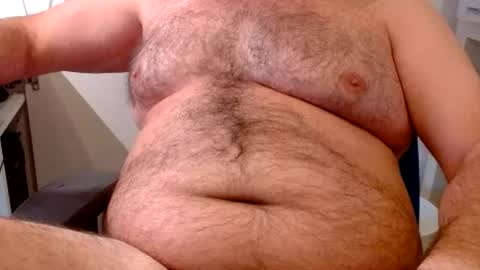 Chubby Bear BY online show from 07/01/26, 07:54