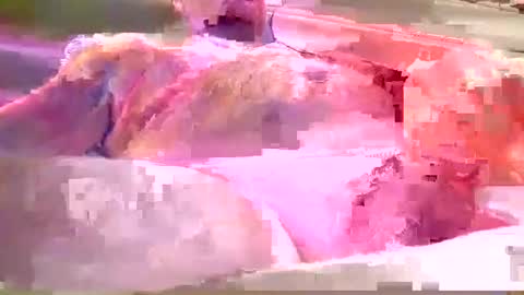 Snapshot of chummy50222 chatting on 12/08/24, 04:14 chummy50222 online show from 12/08/24, 04:14