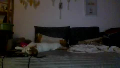 Snapshot of ciasnsyrize1996 chatting on 03/04/25, 09:54 ciasnsyrize1996 online show from 03/04/25, 09:54