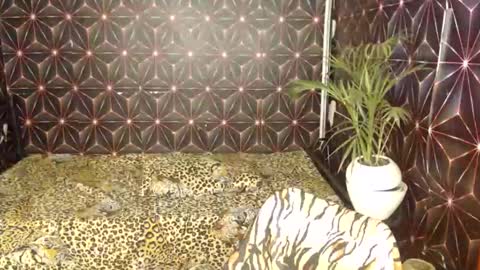 Snapshot of cindyts09 chatting on 01/07/25, 03:35 Cindy online show from 01/07/25, 03:35