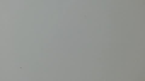 cinthia1609 online show from 02/11/25, 02:03