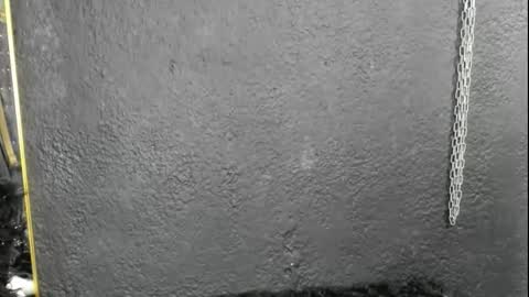 cintyarose online show from 02/26/26, 01:21