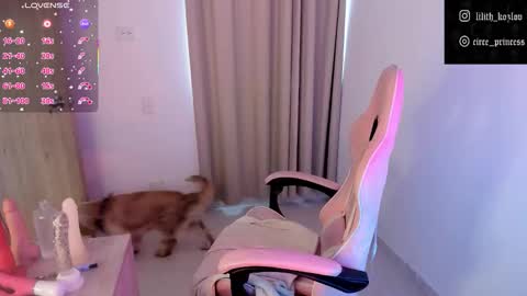 Paulina online show from 11/17/25, 09:31