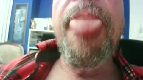 Circus Bear online show from 02/20/26, 04:29