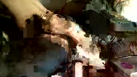 dan online show from 03/05/25, 04:13