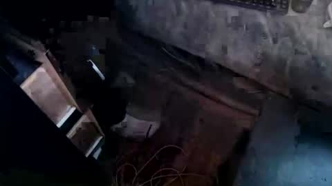 cj_wunderlust online show from 11/04/25, 07:02