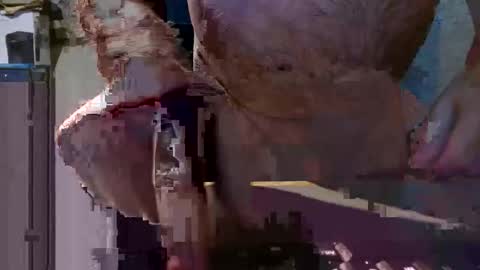 cleanboy1001 online show from 02/26/26, 04:39