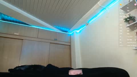 Snapshot of clermontt chatting on 02/14/26, 10:45 clermontt online show from 02/14/26, 10:45