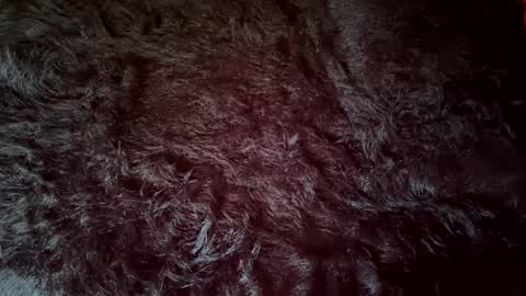 clydeninethousand online show from 09/20/25, 04:52