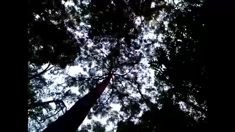 Matriarch Muse online show from 01/26/25, 08:57