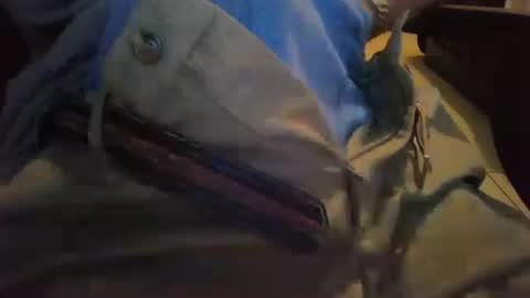 cocksmana online show from 01/19/26, 05:22