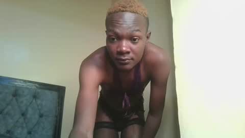 Cocoa online show from 01/22/25, 08:29