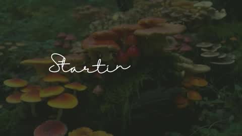 Sunnye Daze online show from 03/24/26, 03:11