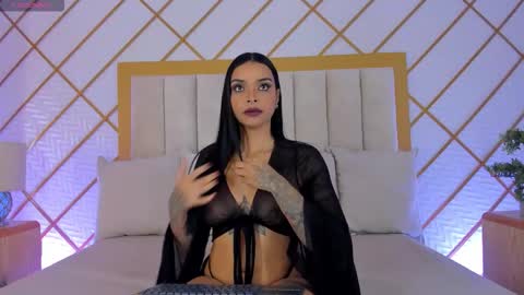    online show from 02/07/26, 11:25