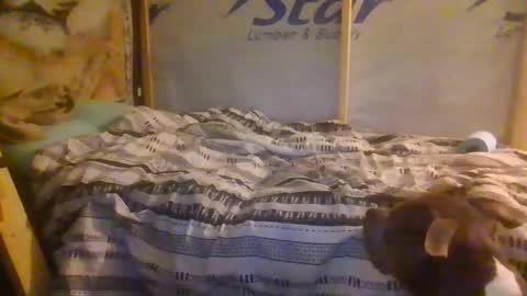 lickerpro69 online show from 02/13/26, 10:33