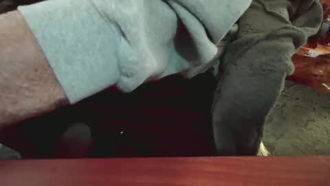 cody81421 online show from 01/15/25, 05:47