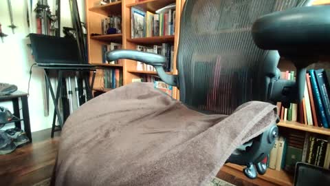 colchuck online show from 02/07/25, 09:48