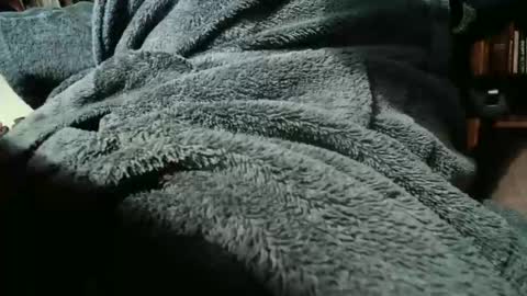 colchuck online show from 02/20/26, 02:39