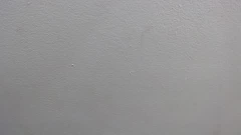  GRETCHEN  online show from 01/16/25, 12:31