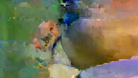 Snapshot of colourlight chatting on 11/09/25, 11:47 colourlight online show from 11/09/25, 11:47