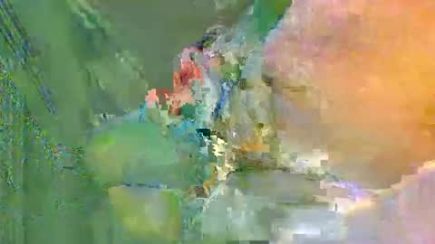 Snapshot of colourlight chatting on 11/24/25, 12:10 colourlight online show from 11/24/25, 12:10