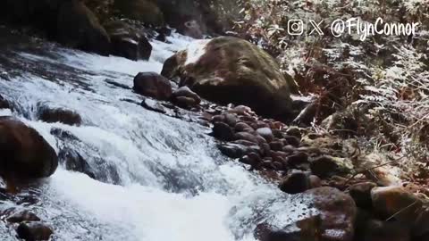 Snapshot of connorflyn chatting on 12/12/24, 08:47 Connor Flyn online show from 12/12/24, 08:47