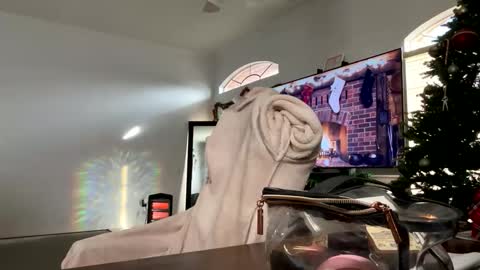 Snapshot of controllercutie chatting on 12/17/25, 02:45 controllercutie online show from 12/17/25, 02:45