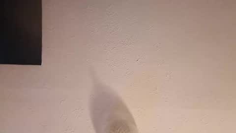 cooper_120805 online show from 09/23/25, 02:47