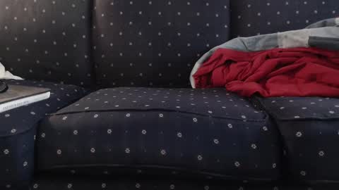 Snapshot of copper_crotch chatting on 11/10/25, 12:09 copper_crotch online show from 11/10/25, 12:09