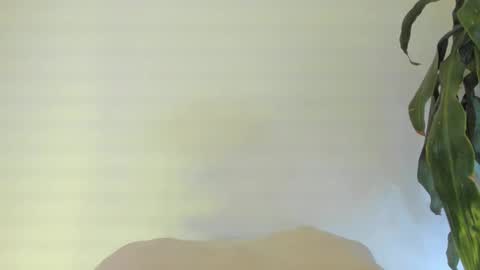 Coral princex online show from 02/24/26, 06:11