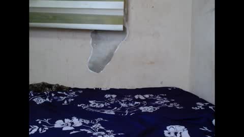 Snapshot of cornxslut chatting on 09/15/25, 07:03 cornxslut online show from 09/15/25, 07:03