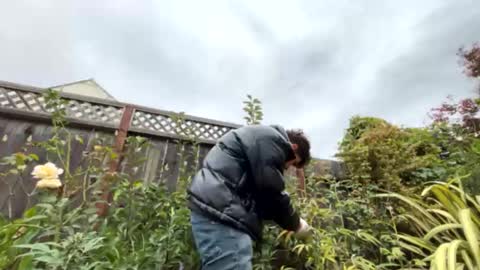 coronelking online show from 09/28/25, 10:26