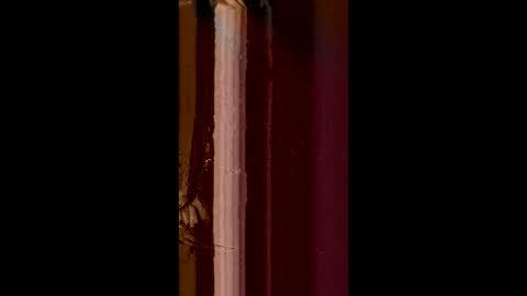 Snapshot of corradog83 chatting on 02/08/25, 08:52 Corrado online show from 02/08/25, 08:52