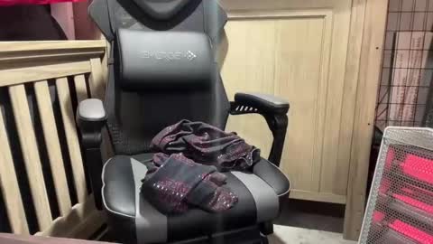 Snapshot of cortexdex chatting on 09/20/25, 02:34 cortexdex online show from 09/20/25, 02:34