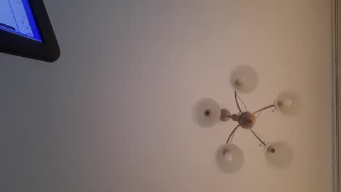 Corvus online show from 12/30/24, 12:52